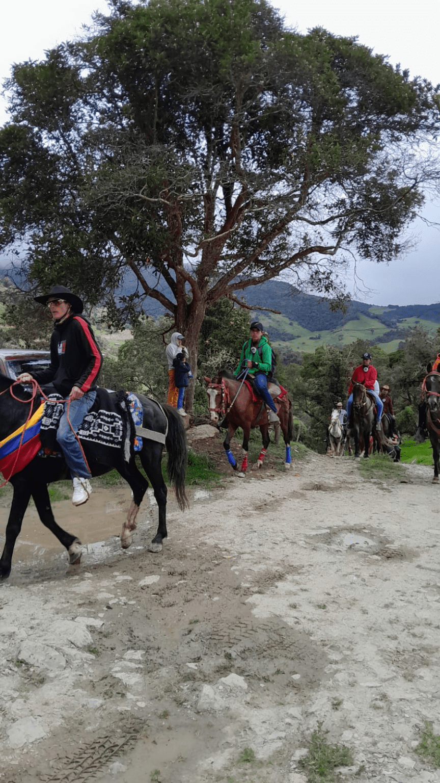 b55258ed-677f-4df5-ba2d-85bbd45f26d8