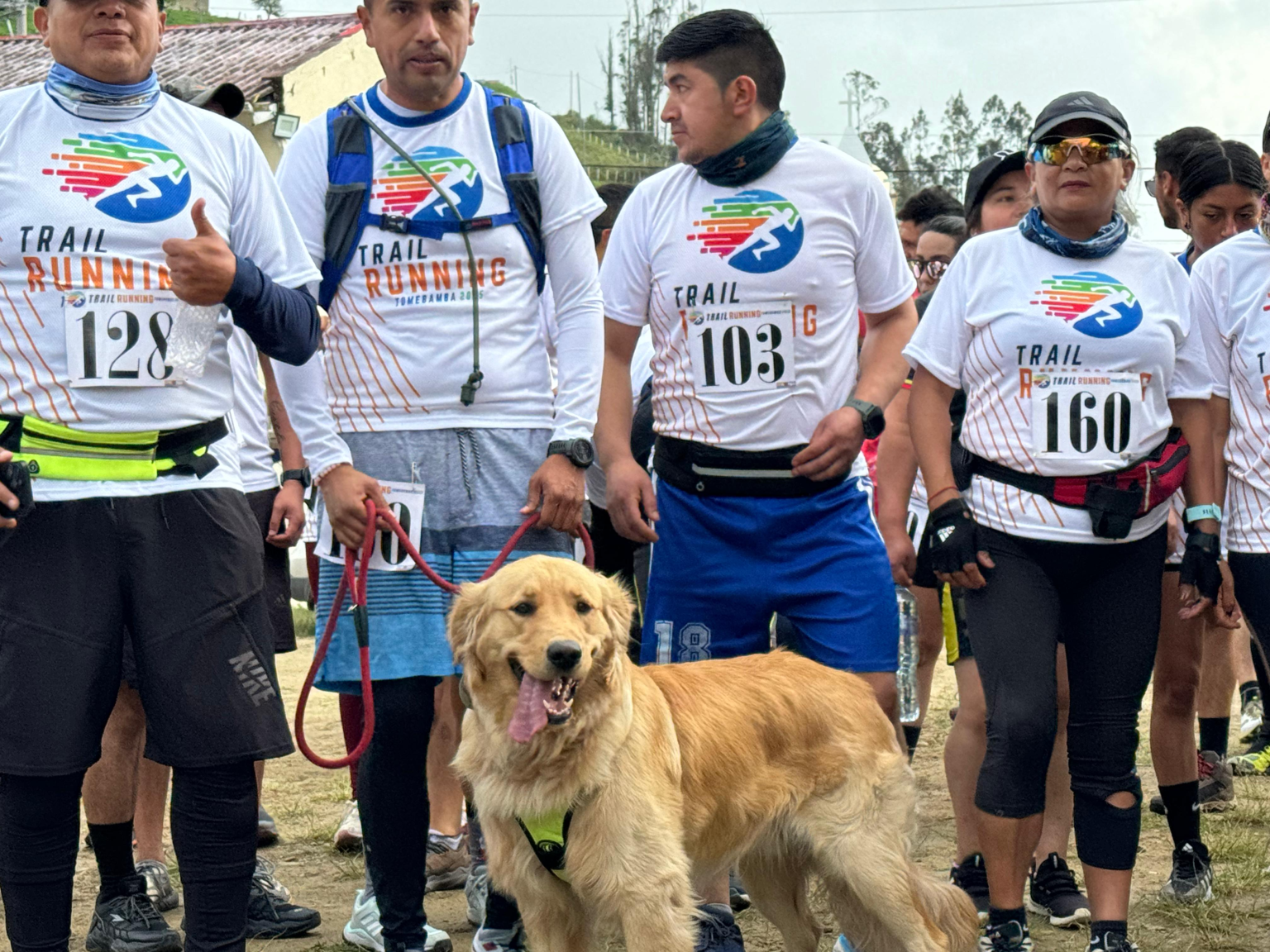 b55db32a-f2ad-47da-a6d7-bc87825fe91d