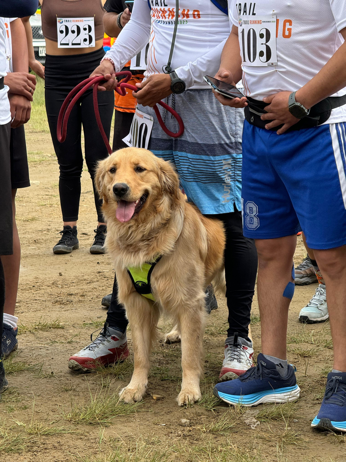 ec37dd4d-93da-4dc9-b6dd-09725968a684